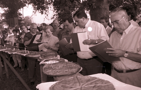 Festa da Empanada de Bandeira, 1996