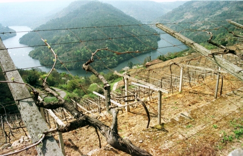 Ribeira Sacra, 1999